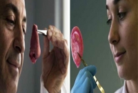 মানবদেহের অঙ্গ তৈরি করছে প্রযুক্তি 