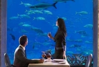 অদ্ভূত রেস্তোরাঁর অদ্ভূত নিয়ম