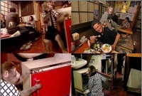 রেস্টুরেন্টে ওয়েটারের দায়িত্বে বানর!