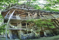 পৃথিবীর সবচেয়ে বড় 'ট্রি-হাউস' 