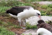 ৬৩ বছরে ৩৫ বাচ্চার জন্ম! 