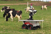 গরু দেখাশোনা করবে রোবট ! 