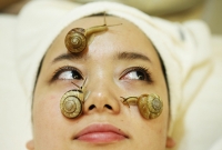 সৌন্দর্য চর্চায় এবার জীবন্ত শামুক! 