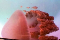 দৃষ্টিসীমার বাইরে ১০০ বছর 