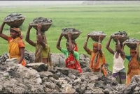 কোরআন ও হাদিসের আলোকে নারীর অধিকার