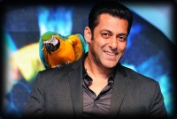 এবার বিগ বসের ঘরে কে কে?