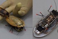  রাশিয়ার নয়া গুপ্তচর আরশোলা, সিআইএ'র ঘুম হারাম