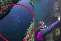 ৪০০ কেজির সেই বিশাল অজগর