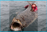 আজব সেলফি!