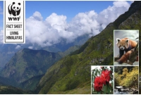 হিমালয়ে বৈজ্ঞানিক অভিযান, খোঁজ মিলল ২০০ প্রজাতির