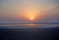 কসাই মশাই