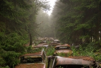 হদিস মিলেছে ৭০ বছরের পুরনো সেই জ্যামের