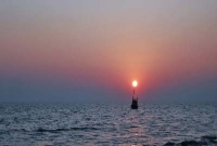  সৈকতে সাঁতার কাটতে নেমে মেডিক্যাল ছাত্র নিখোঁজ