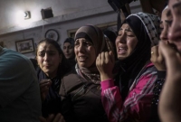 ২৭ ফিলিস্তিনি নিহত, নতুন অস্ত্র ছুরি