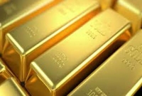  শাহ আমানতে ২৩ লাখ টাকার স্বর্ণ উদ্ধার