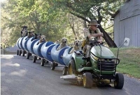  কুকুরের জন্য রেলগাড়ি! 