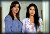 এবার অপুকে ছাড়িয়ে শীর্ষে ববি! এবার অপুকে ছাড়িয়ে শীর্ষে ববি!