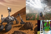 মঙ্গলগ্রহের জন্য সবজি চাষ!