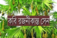 স্বাধীনতার সুখ