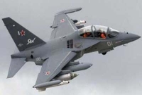  ২২৪ যাত্রী নিয়ে ভেঙে পড়ল বিমান