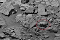 এবার মঙ্গলে দেখা গেল ভল্লুক