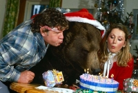 হলিউড তারকা দম্পতির 'পুত্র' ৭০ বছরের ভল্লুক!