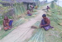 আশাশুনিতে হারিয়ে যেতে বসেছে ঐতিহ্যবাহী মাদুর শিল্প 