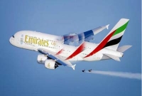  বিমানের সঙ্গে দুই বাজপাখির টক্কর! 