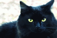 প্রচলিত কয়েকটি কুসংস্কার