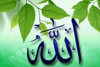 আল্লাহর কাছে একমাত্র মনোনিত ধর্ম ইসলাম