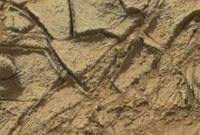 আমেরিকার লেকে রহস্যে ভরা রেখাচিত্র