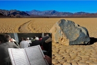 আল কোরআনের আলোকে আল্লাহর এক রহস্যময় সৃষ্টি! 