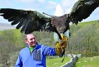 এবার ঈগলপাখির বিশ্বরেকর্ড 