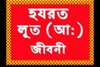 হযরত লূত (আ.)এর উম্মতরা যে কারণে কখনোই ঈমান আনেনি