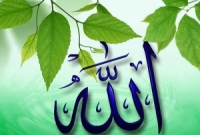 হাশরের ময়দানে বিনয়ীদের জন্য সুসংবাদ অপেক্ষা করছে 