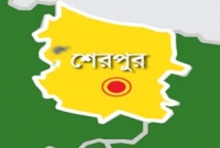 মামা-ভাগ্নের লড়াই 