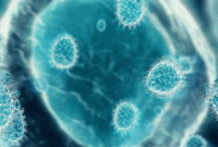 সোয়াইন ফ্লুতে ইরানে নিহত ৩৩