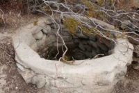 কুয়ার ভেতর গোটা রাত কাটিয়ে প্রাণে বাঁচলেন তরুণী!