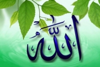 ‘হে মানুষ তোমরা নিজেদের এতোটা চালাক ভাবছো কেন?’