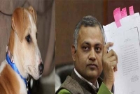 মামলায় পড়ে থানায় কুকুরের হাজিরা!