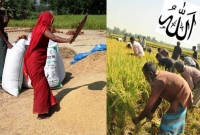ফসলতোলার দিনে মুসলমানদের ২টি কাজ অবশ্যই করতে হবে