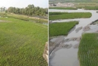 খুলনায়  পুকুর, খাল ও নদী খননের উদ্যোগ