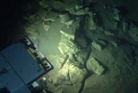 সমুদ্রের তলায় লাখ লাখ টন সোনা!