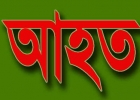 কুকুরের কামড়ে আহত ৫, ঘাতক কুকুরের ফাঁসি