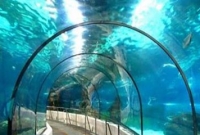 মহাসাগরের তল দিয়ে দীর্ঘ সেতু নির্মানের উদ্যোগ