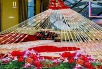 তরুণীর ভাগ্যের নির্মম পরিণতি, বাসর রাতেই বিধবা 