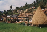 আজব গ্রাম, অধিকাংশ মানুষেরই ১টি কিডনি!