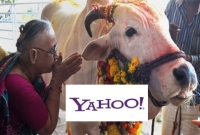 ২০১৫ সালে ভারতে সেরা ‘ব্যক্তিত্ব’ গরু