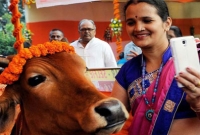 'সেলফি উইথ কাউ'