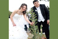 বিয়ে করতে বৃক্ষরোপণ সনদ লাগবে